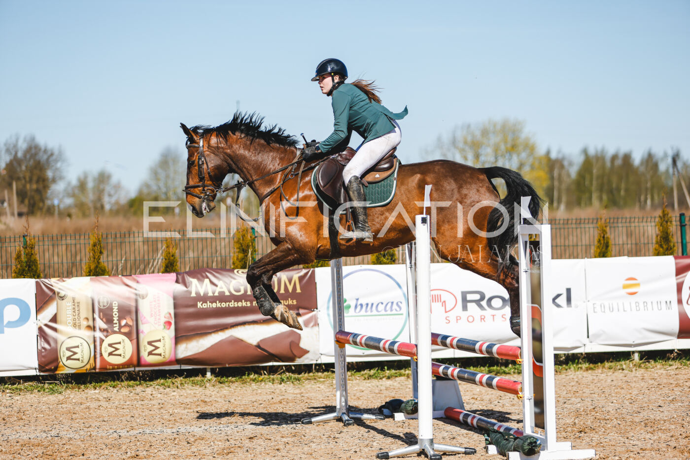 Gramina_Volber_2026_hc70-80_1012