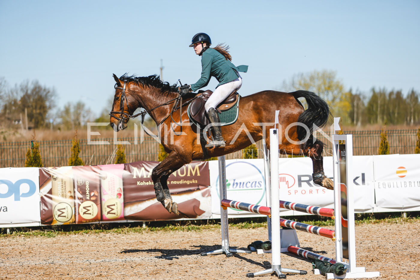 Gramina_Volber_2026_hc70-80_1013
