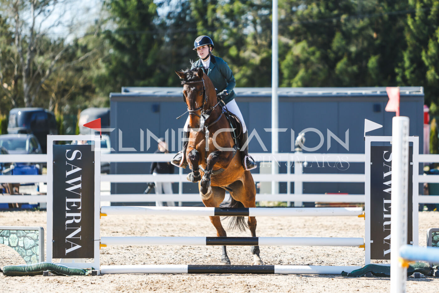 Gramina_Volber_2026_hc70-80_1014