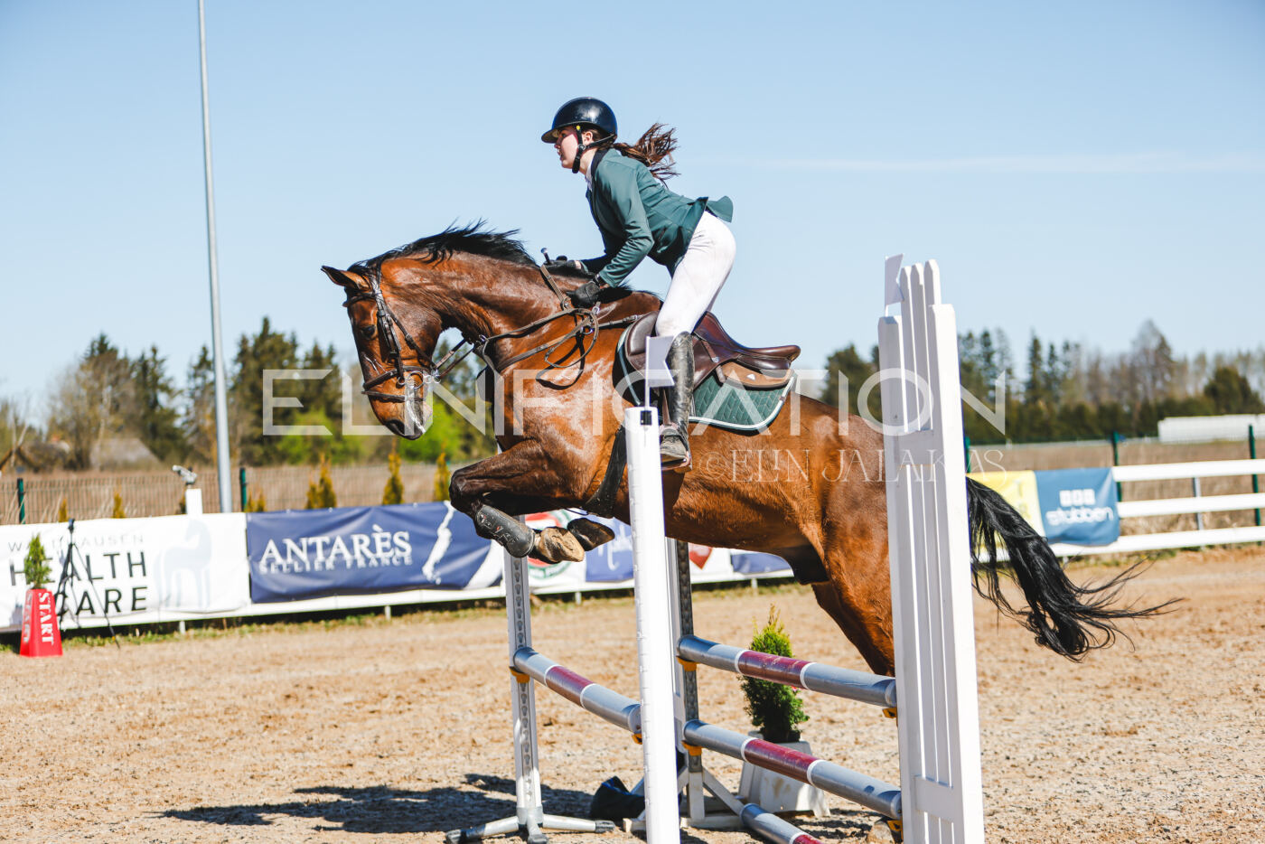 Gramina_Volber_2026_hc70-80_1016