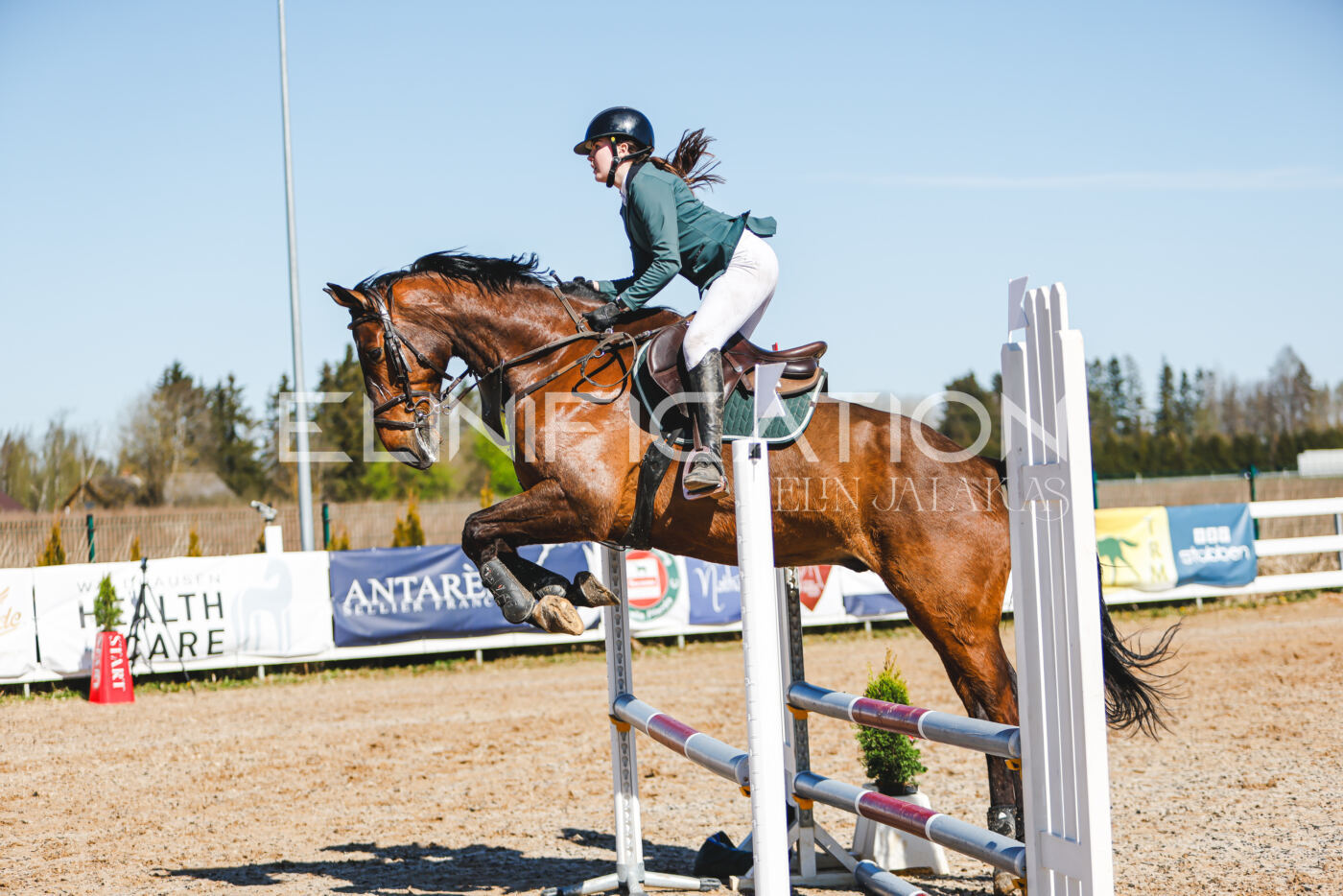 Gramina_Volber_2026_hc70-80_1017