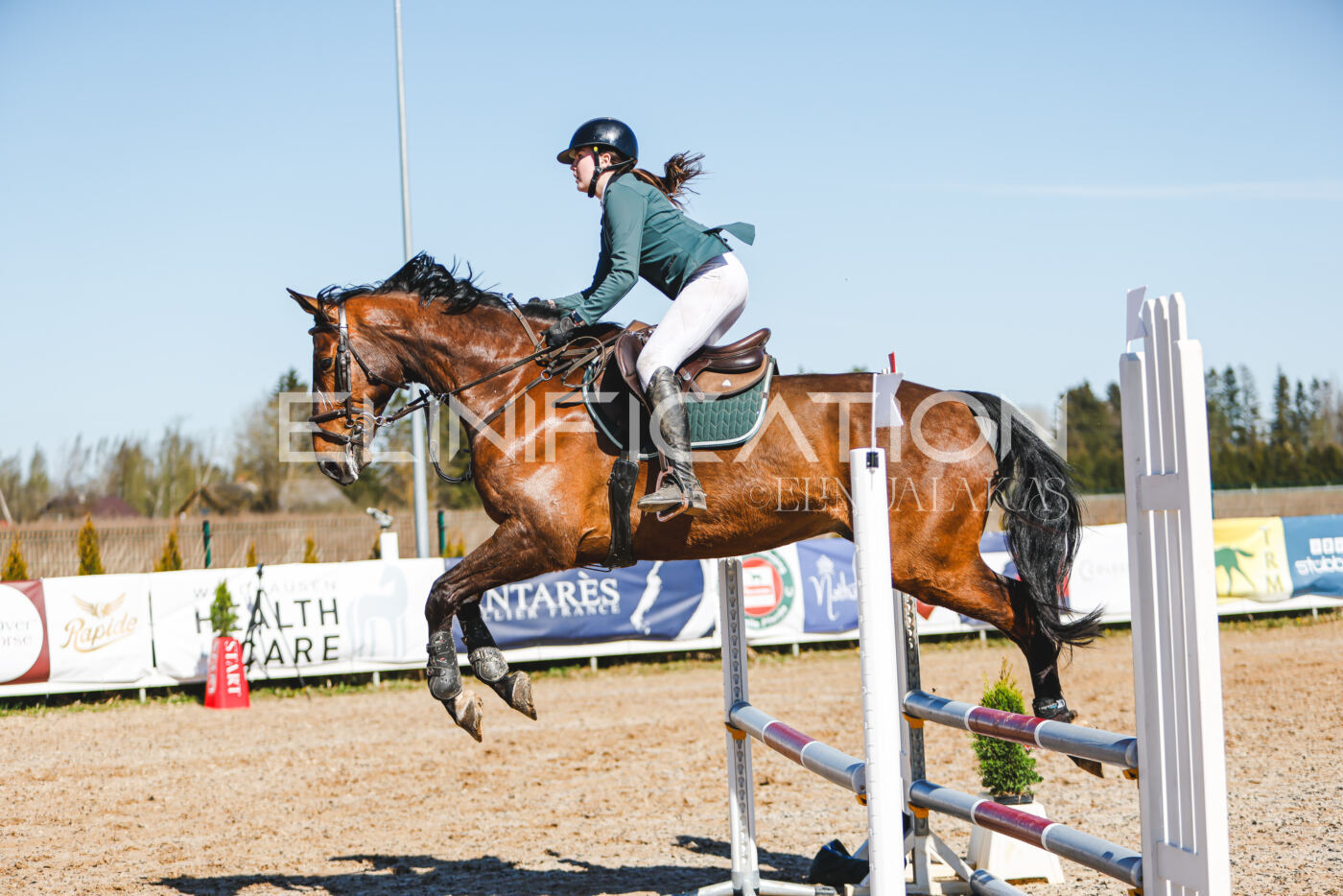 Gramina_Volber_2026_hc70-80_1019