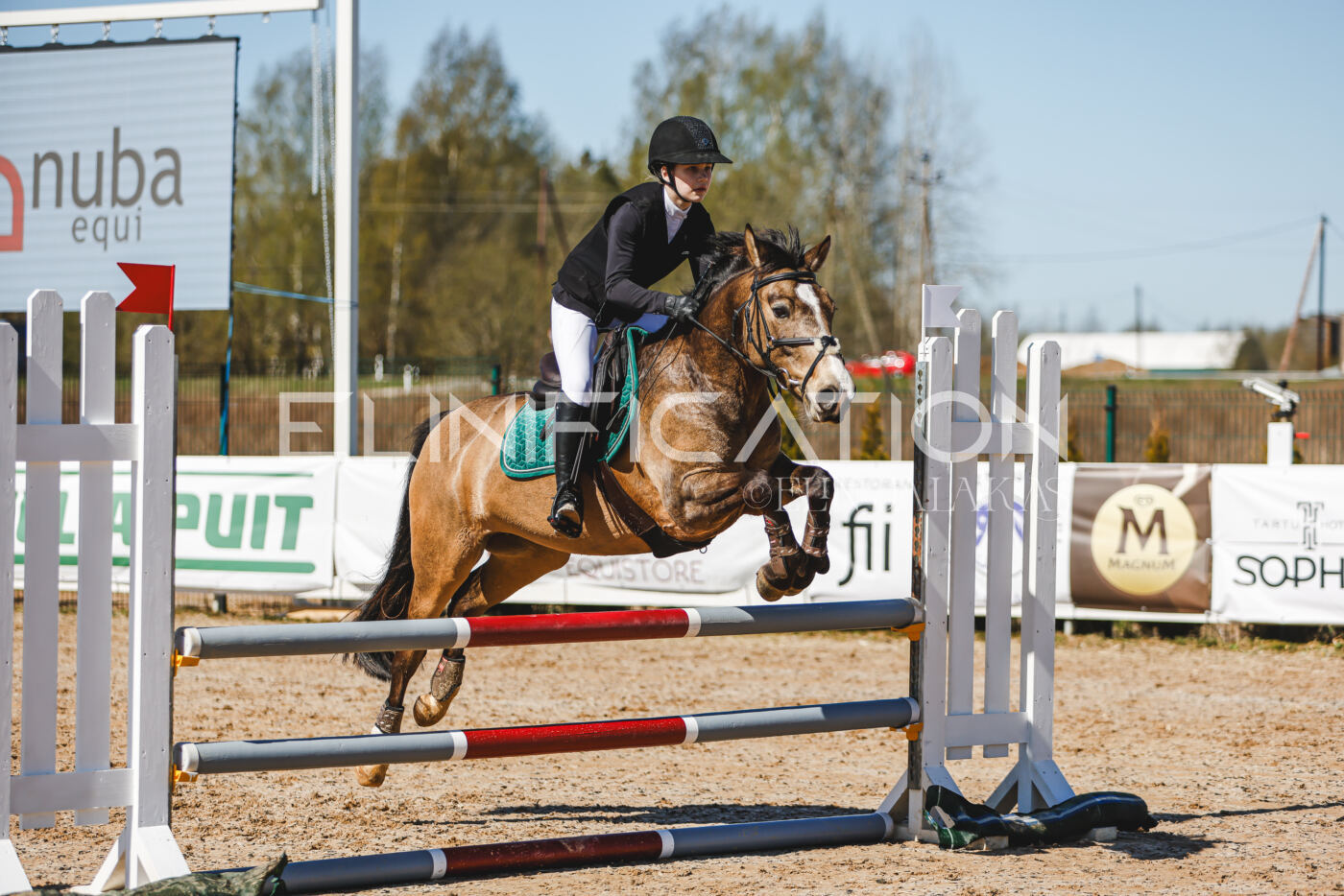 Gramina_Volber_2026_90_0008