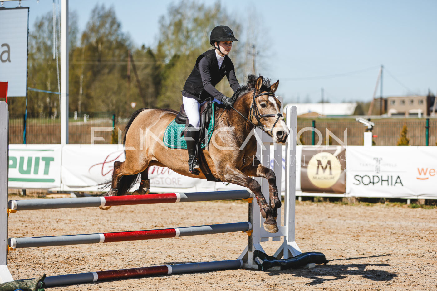 Gramina_Volber_2026_90_0010