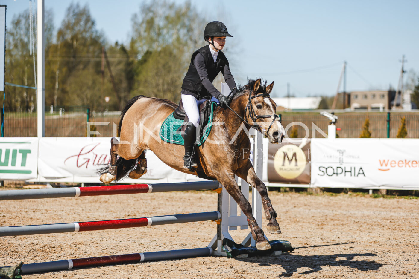 Gramina_Volber_2026_90_0011