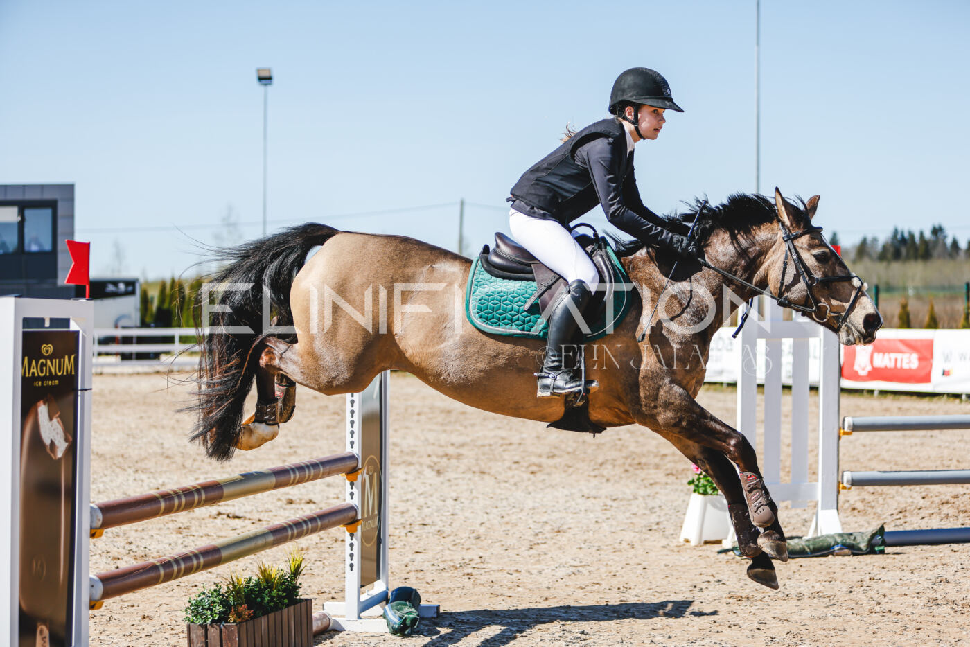Gramina_Volber_2026_90_0033