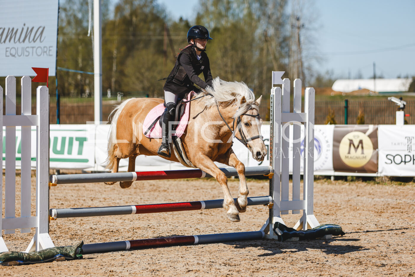 Gramina_Volber_2026_90_0046