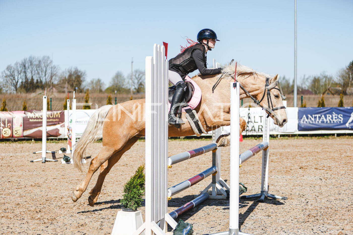 Gramina_Volber_2026_90_0049