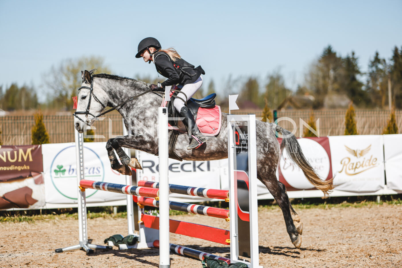 Gramina_Volber_2026_90_0072