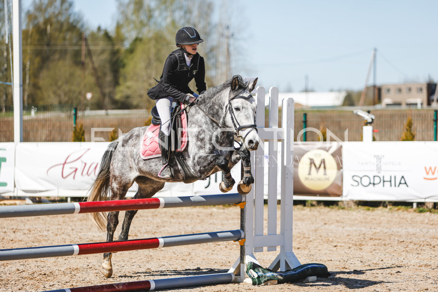 Gramina_Volber_2026_90_0077