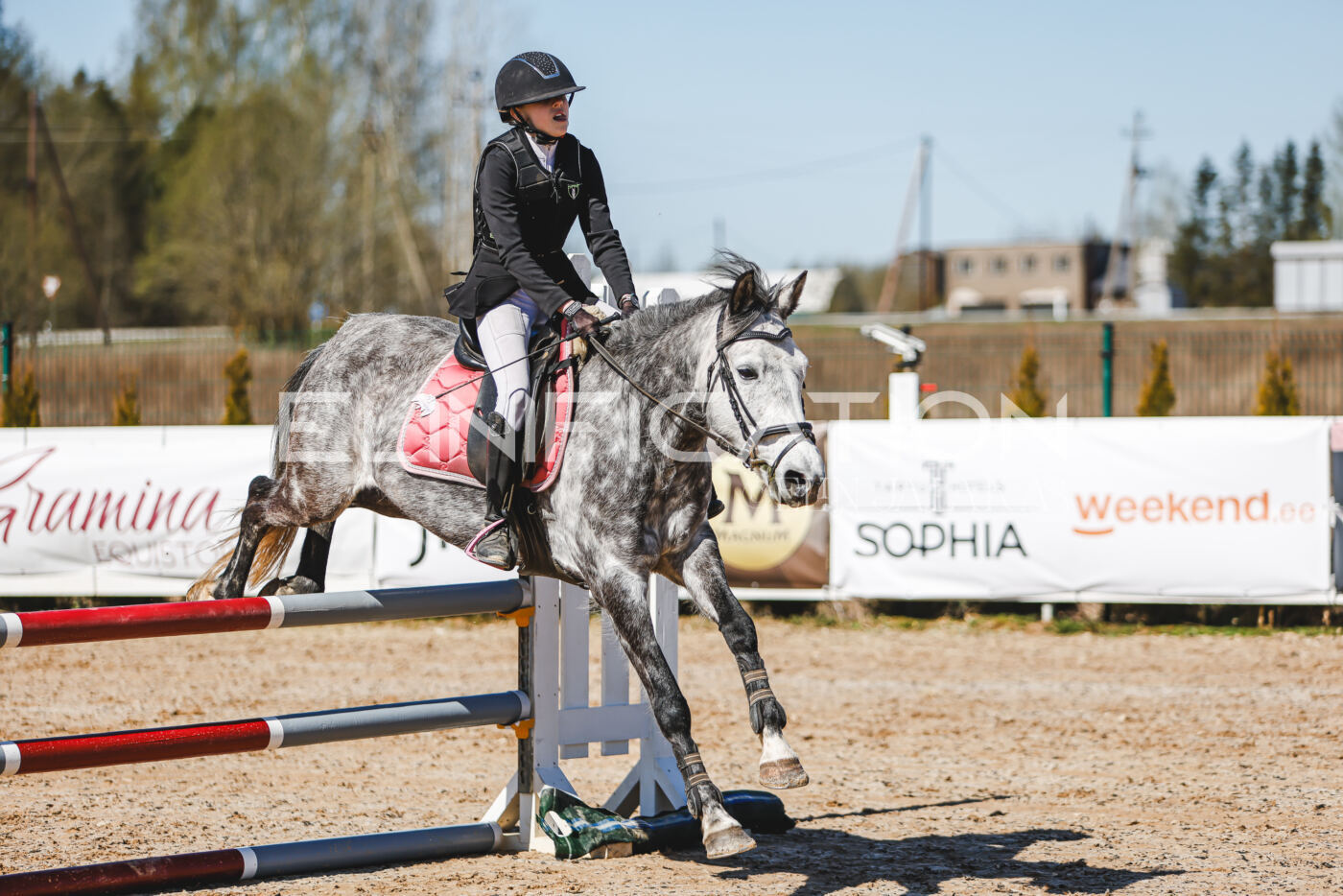 Gramina_Volber_2026_90_0080