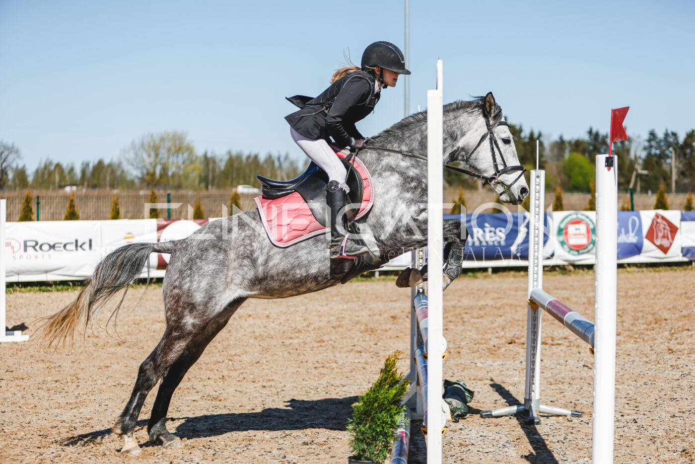 Gramina_Volber_2026_90_0081