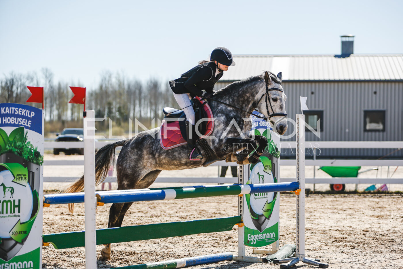 Gramina_Volber_2026_90_0087