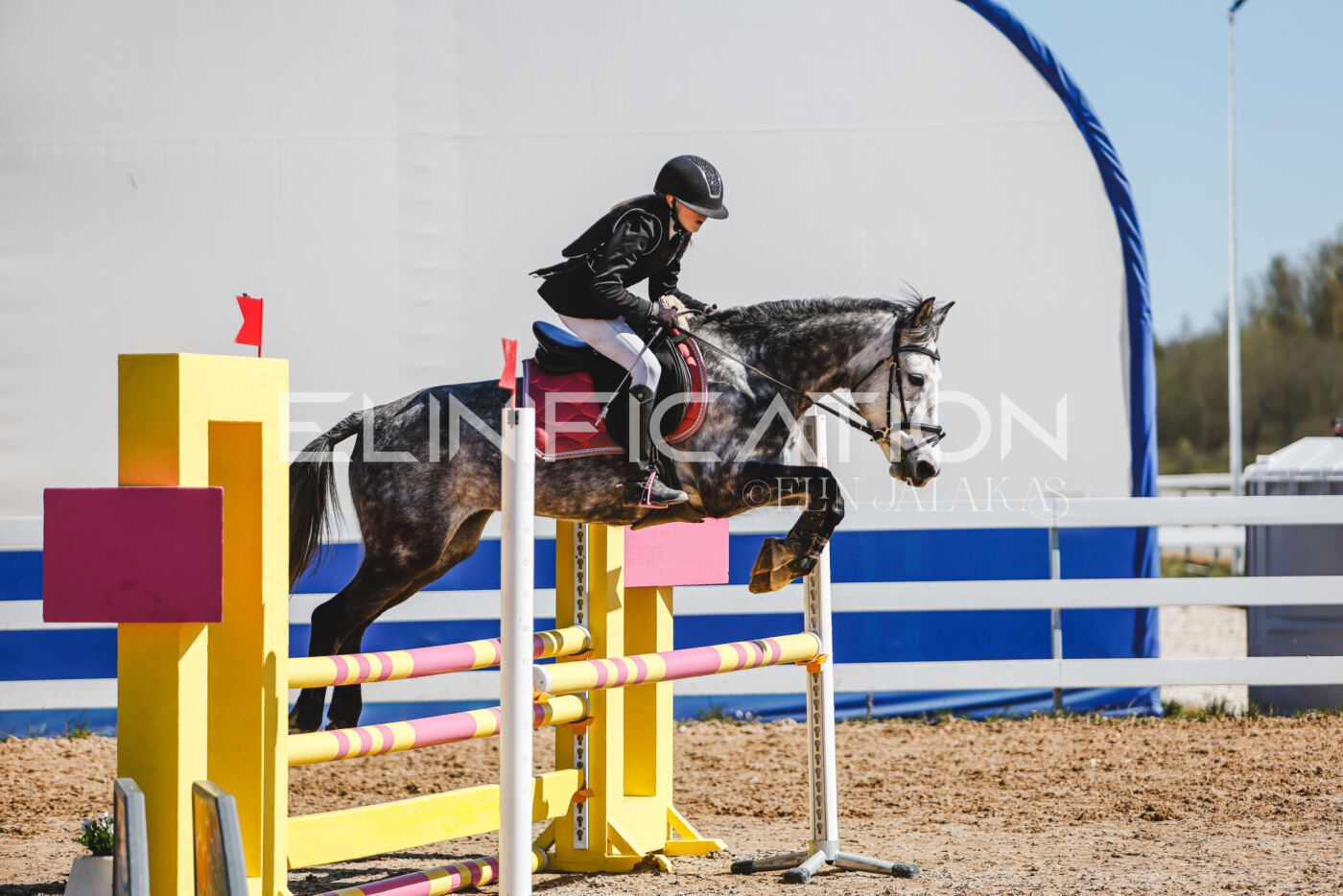 Gramina_Volber_2026_90_0104