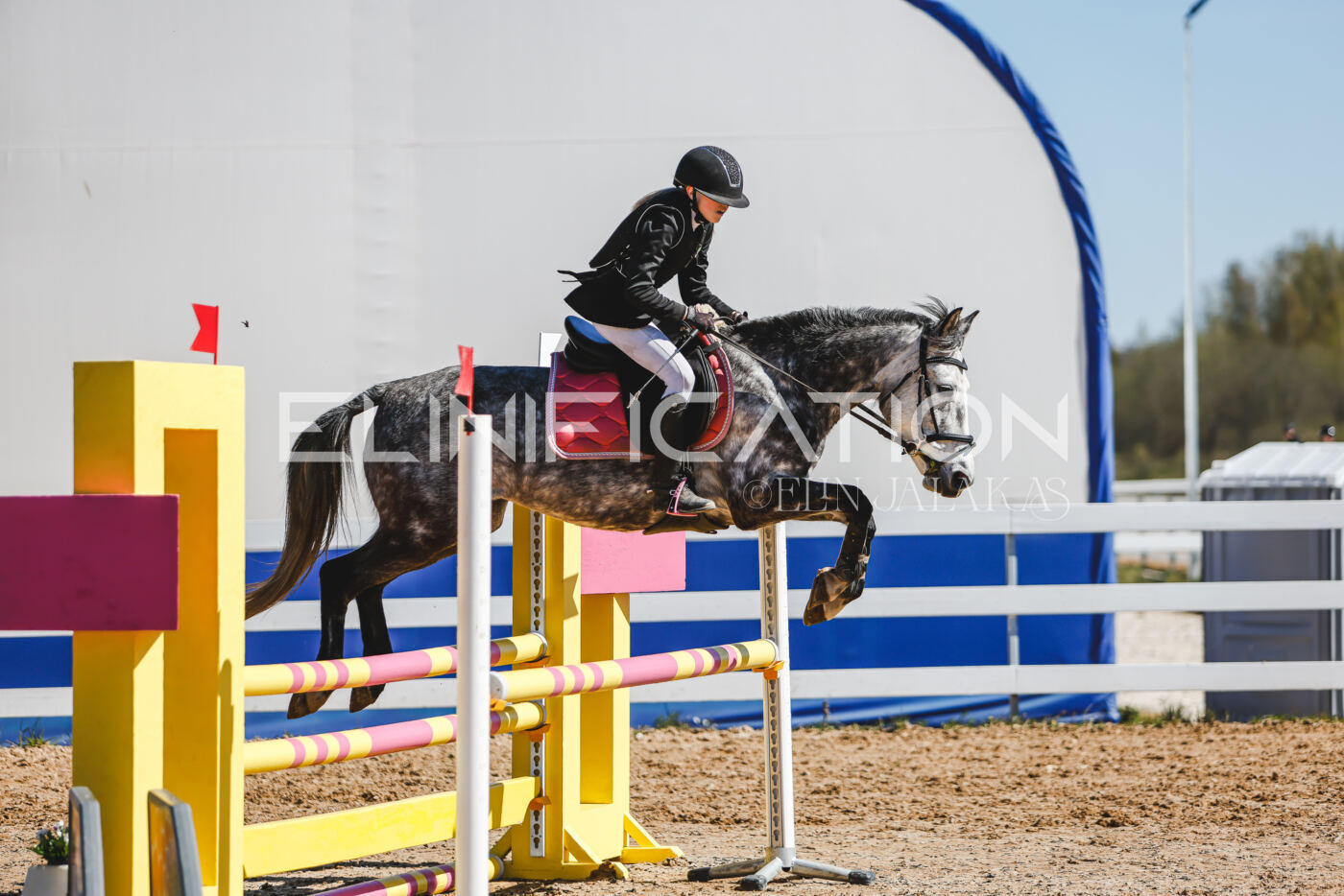 Gramina_Volber_2026_90_0105