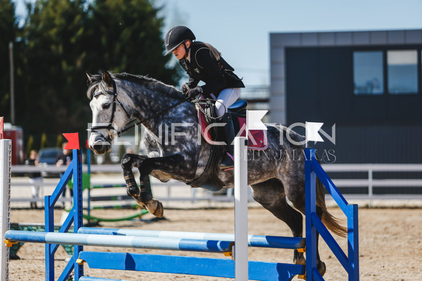 Gramina_Volber_2026_90_0109