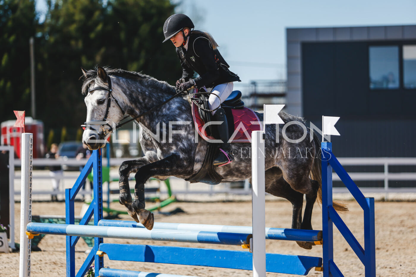 Gramina_Volber_2026_90_0110