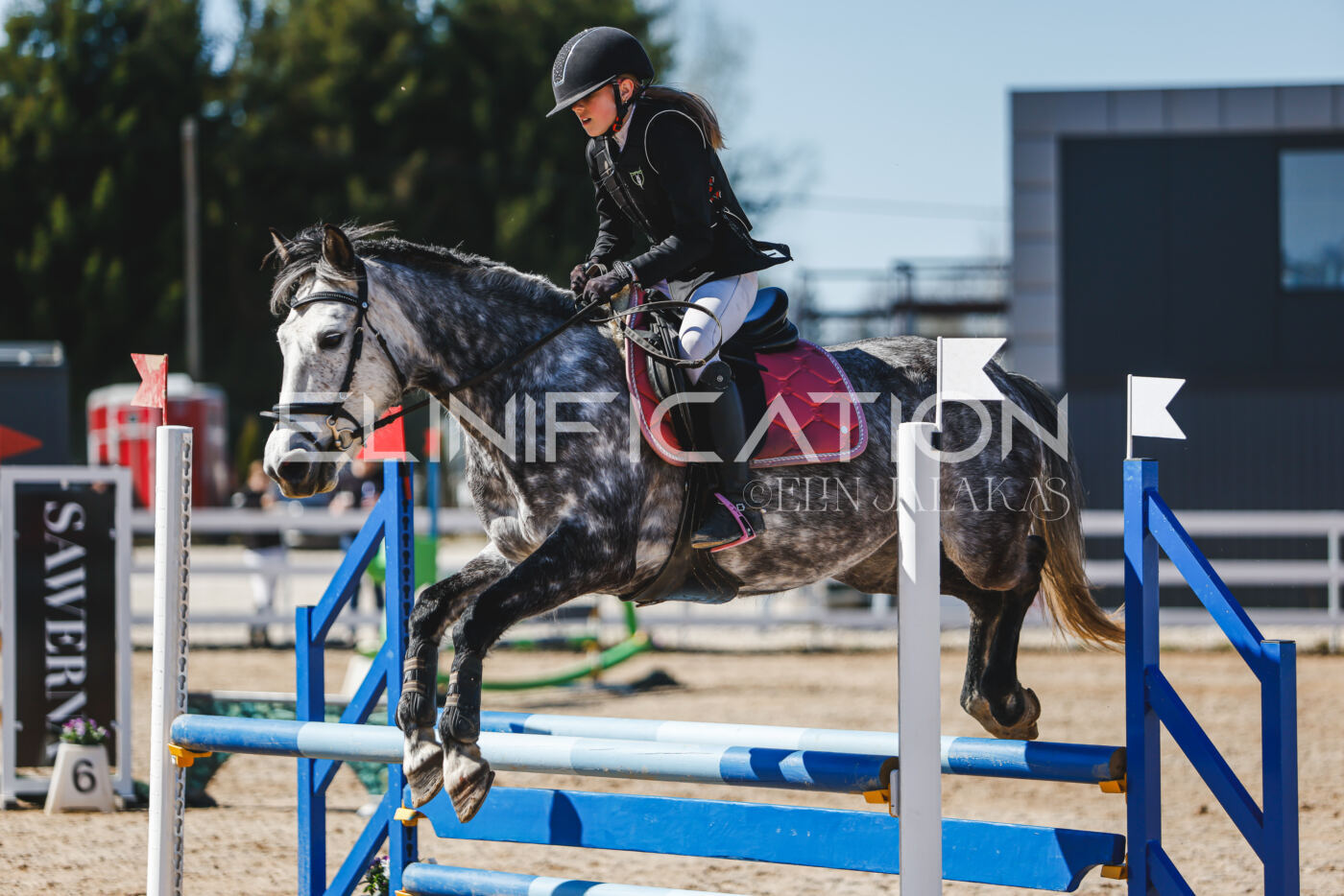 Gramina_Volber_2026_90_0111