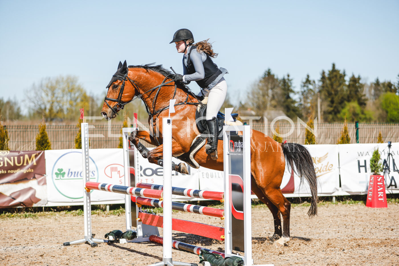 Gramina_Volber_2026_90_0112