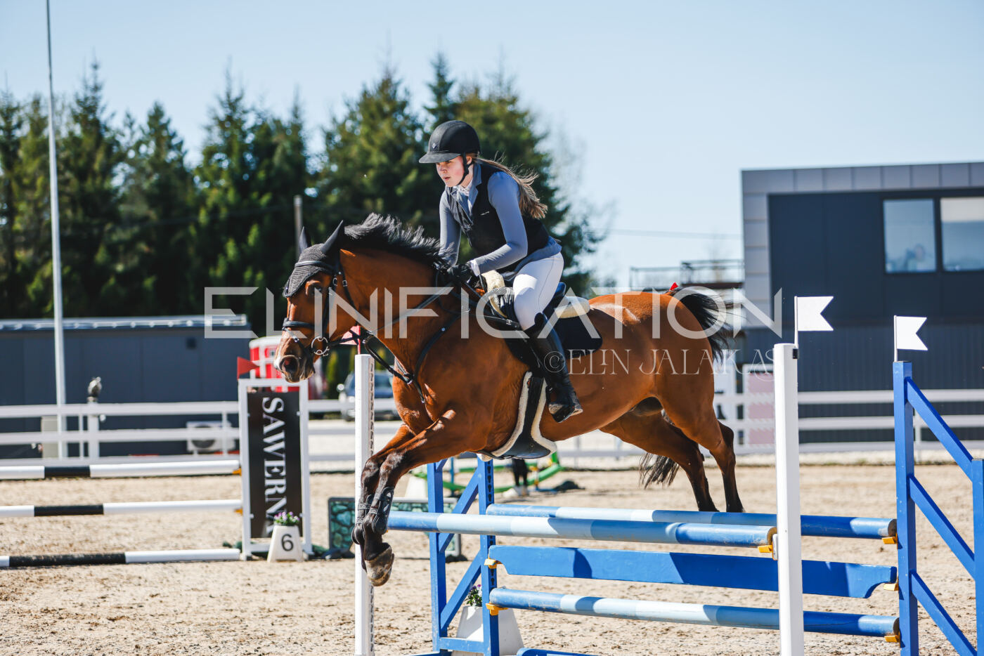 Gramina_Volber_2026_90_0141