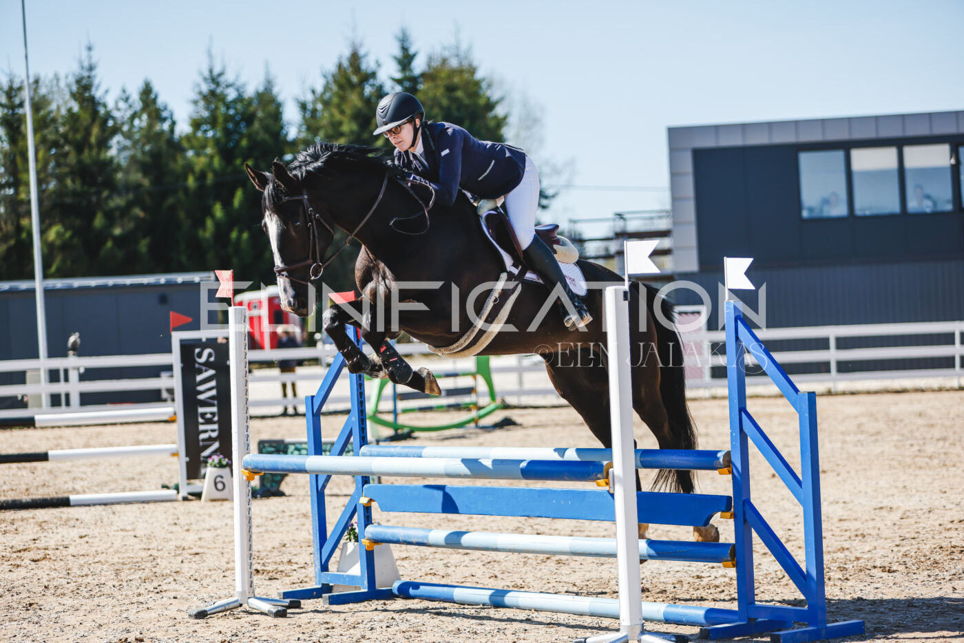 Gramina_Volber_2026_90_0165