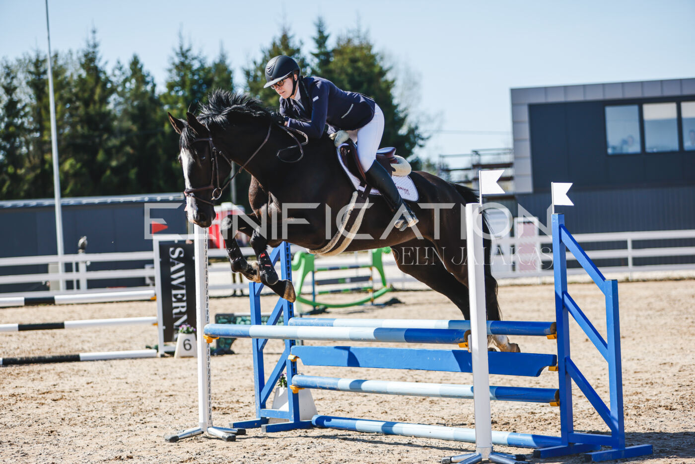 Gramina_Volber_2026_90_0166