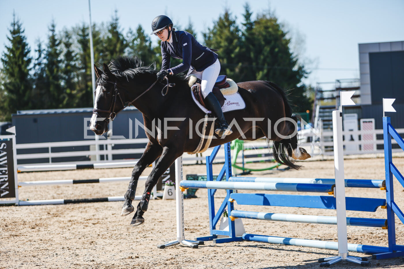 Gramina_Volber_2026_90_0169