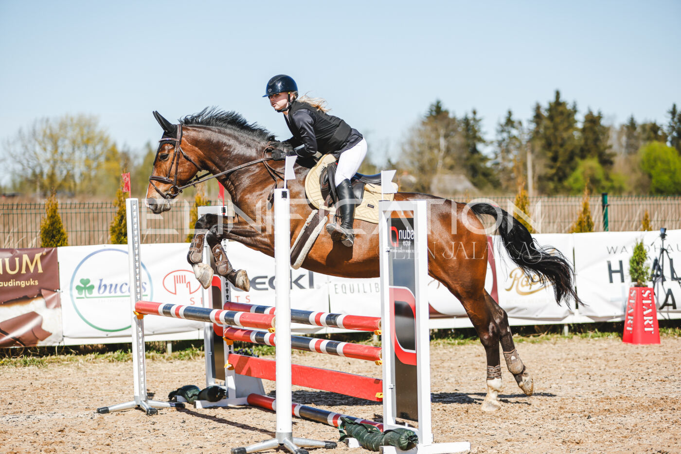 Gramina_Volber_2026_90_0171