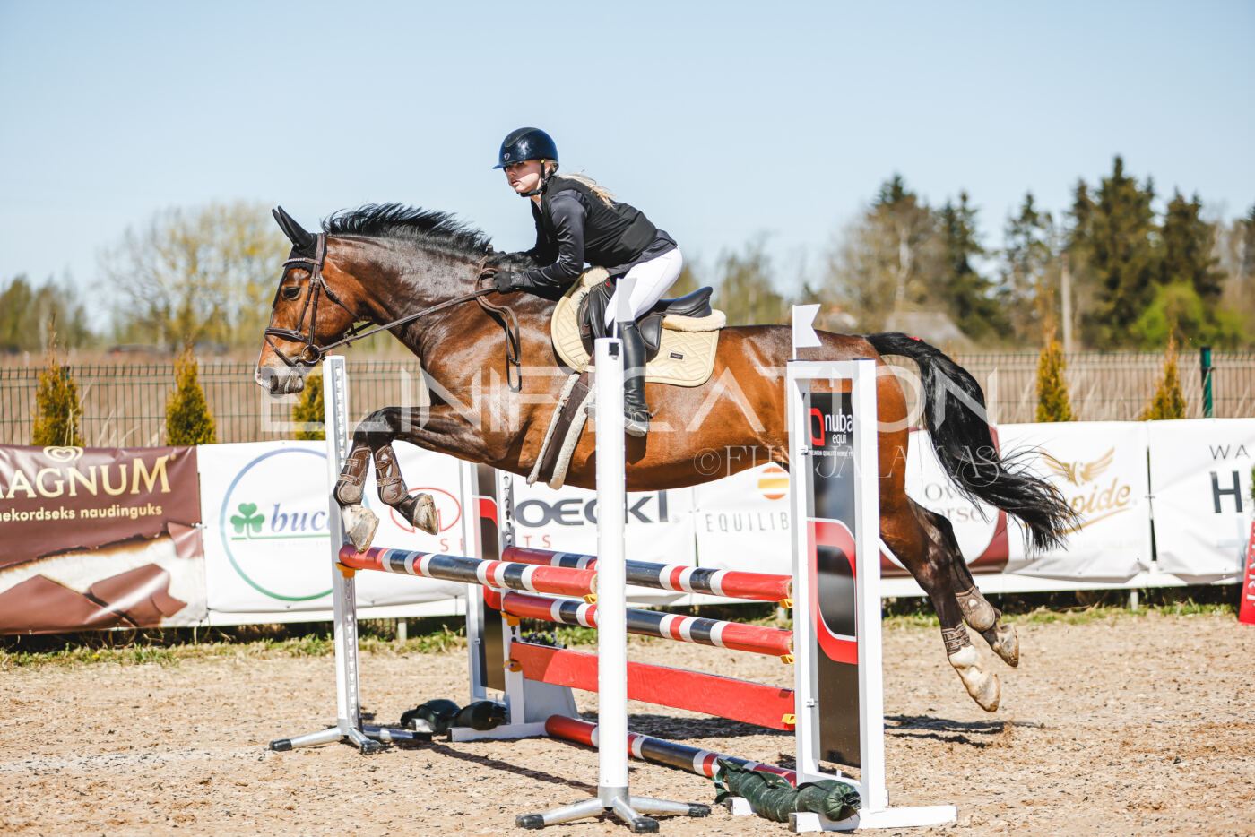 Gramina_Volber_2026_90_0172