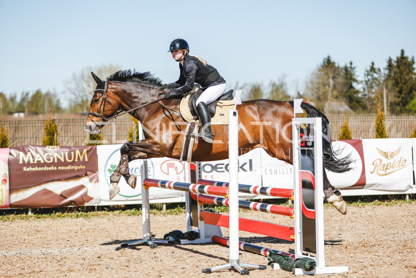 Gramina_Volber_2026_90_0173