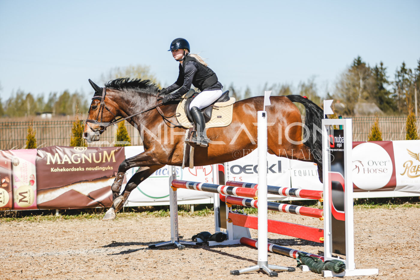 Gramina_Volber_2026_90_0174