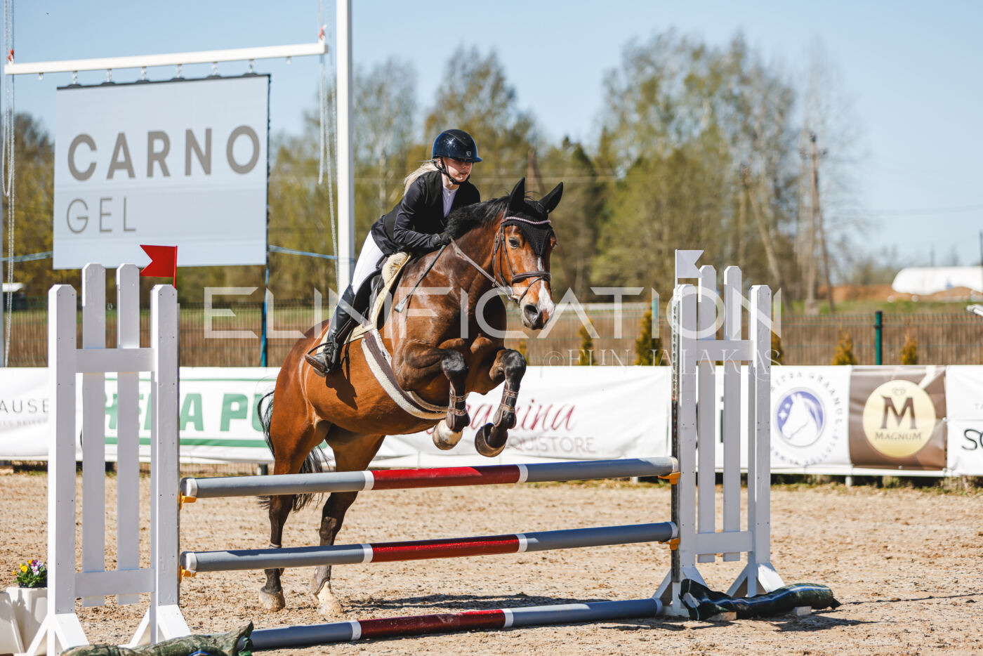 Gramina_Volber_2026_90_0177