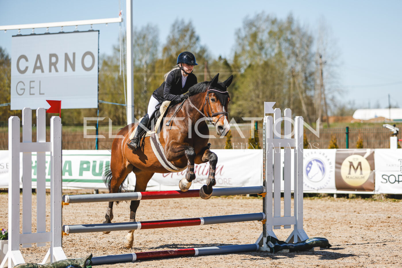 Gramina_Volber_2026_90_0178