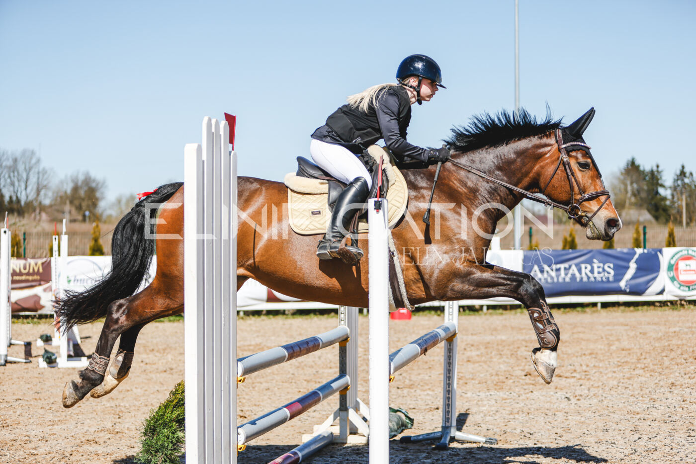 Gramina_Volber_2026_90_0185