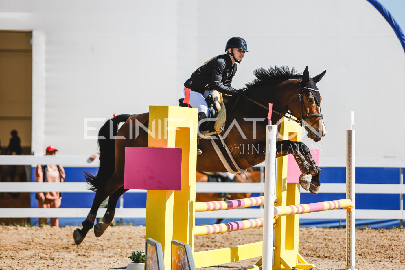 Gramina_Volber_2026_90_0201