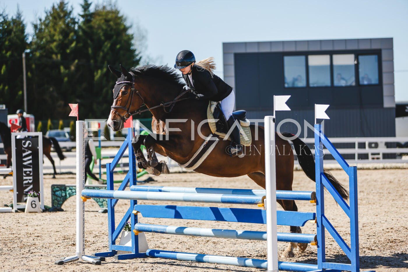 Gramina_Volber_2026_90_0206