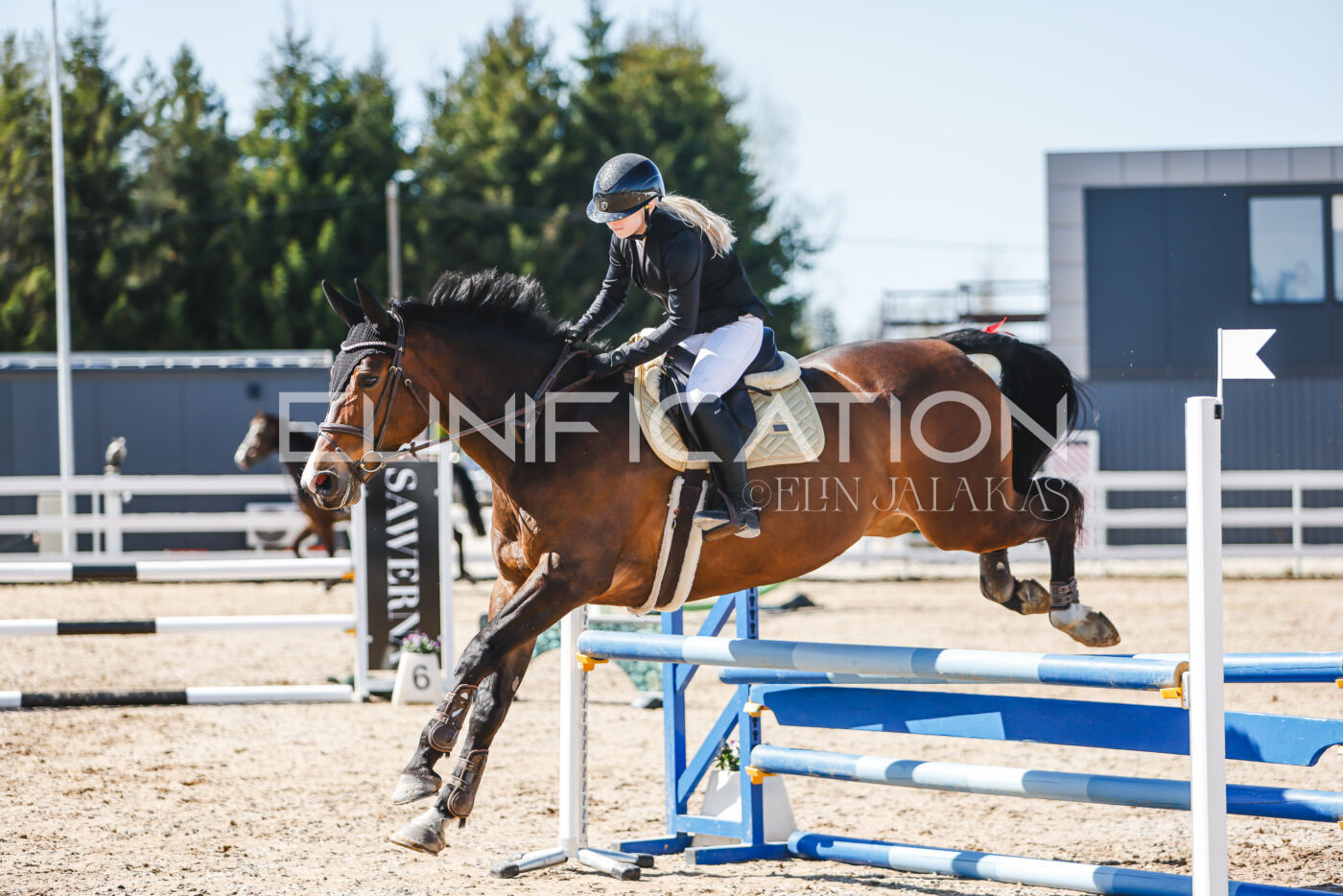 Gramina_Volber_2026_90_0210