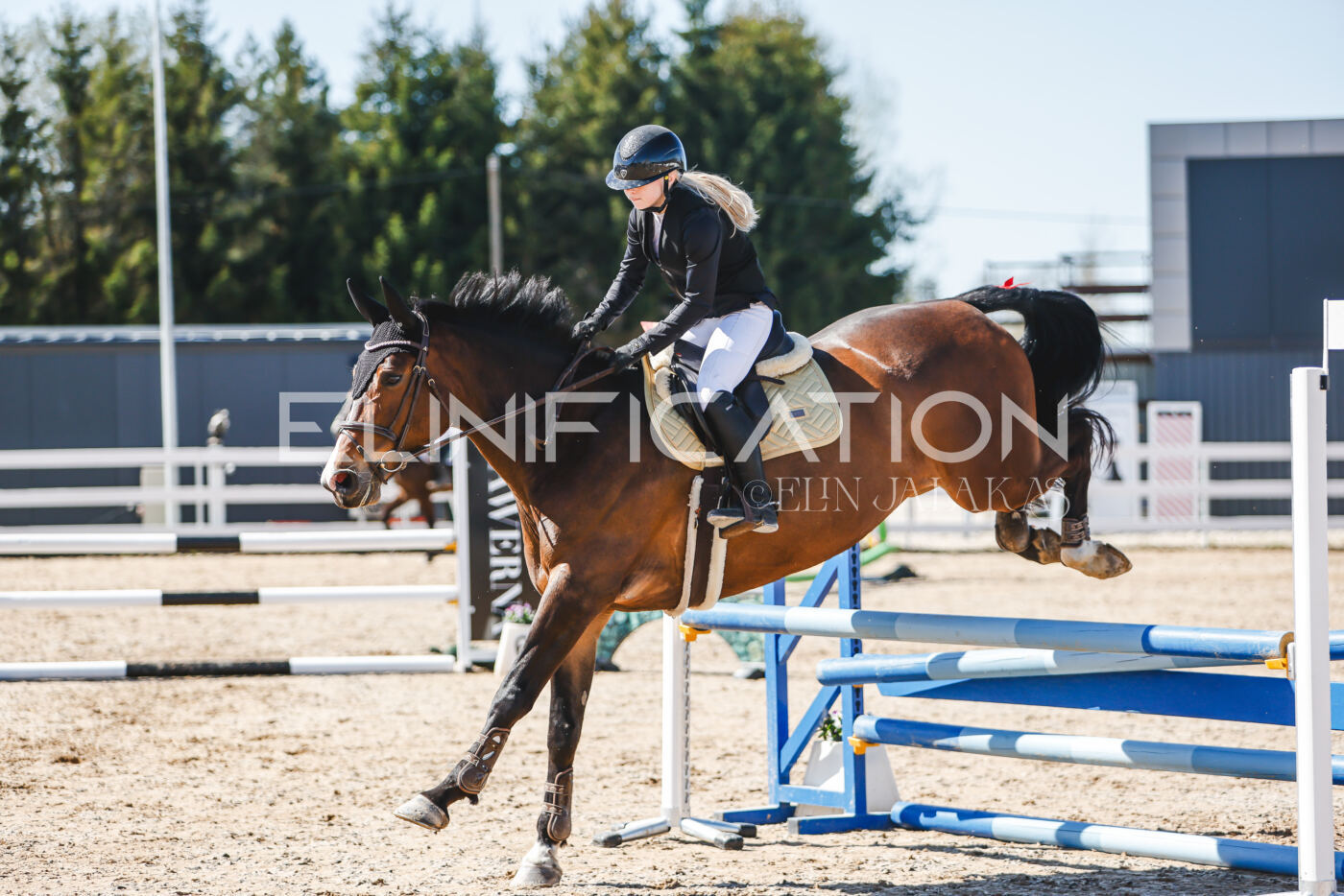 Gramina_Volber_2026_90_0211