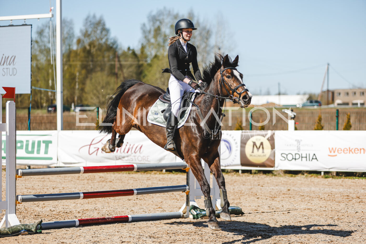 Gramina_Volber_2026_90_0221