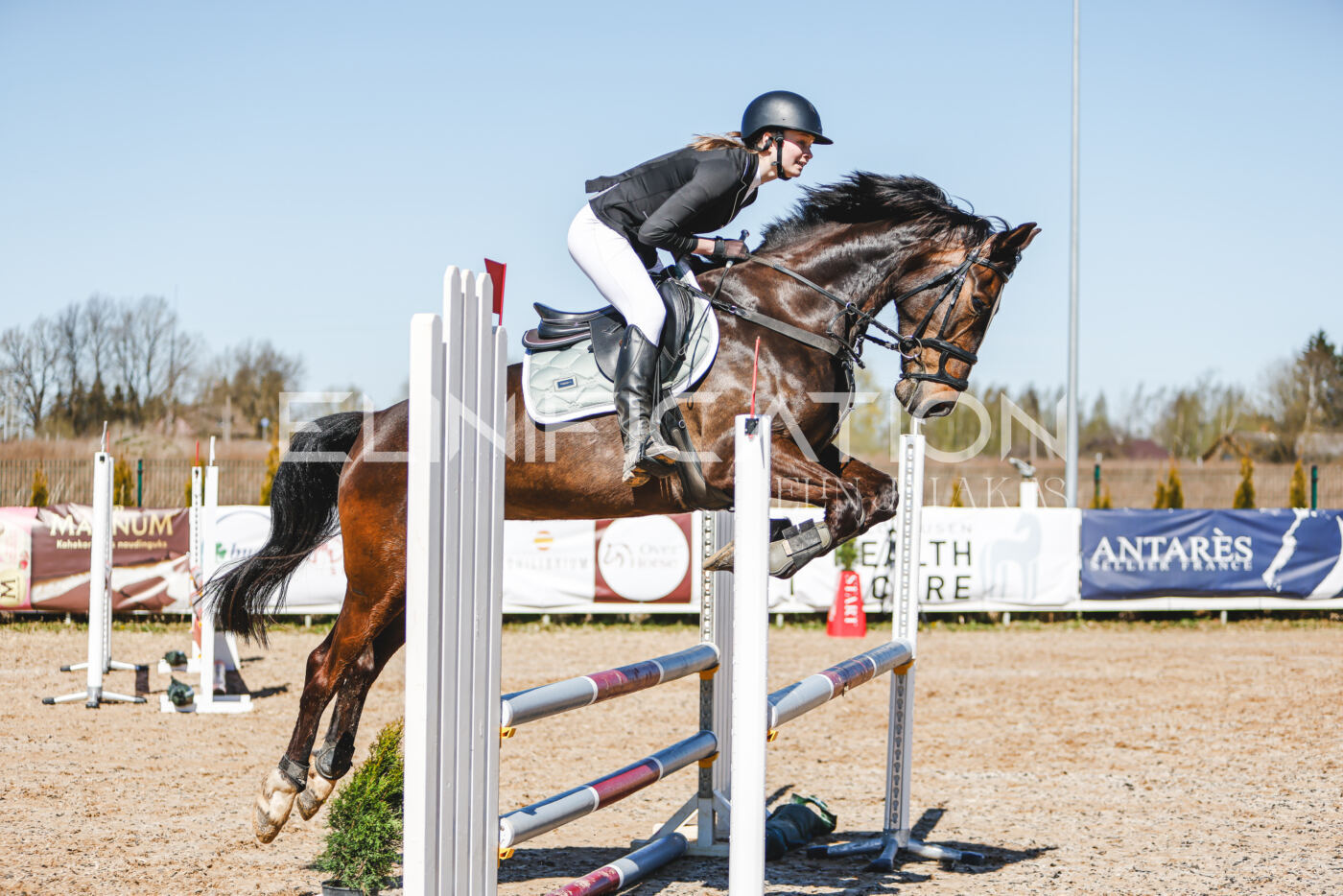 Gramina_Volber_2026_90_0224