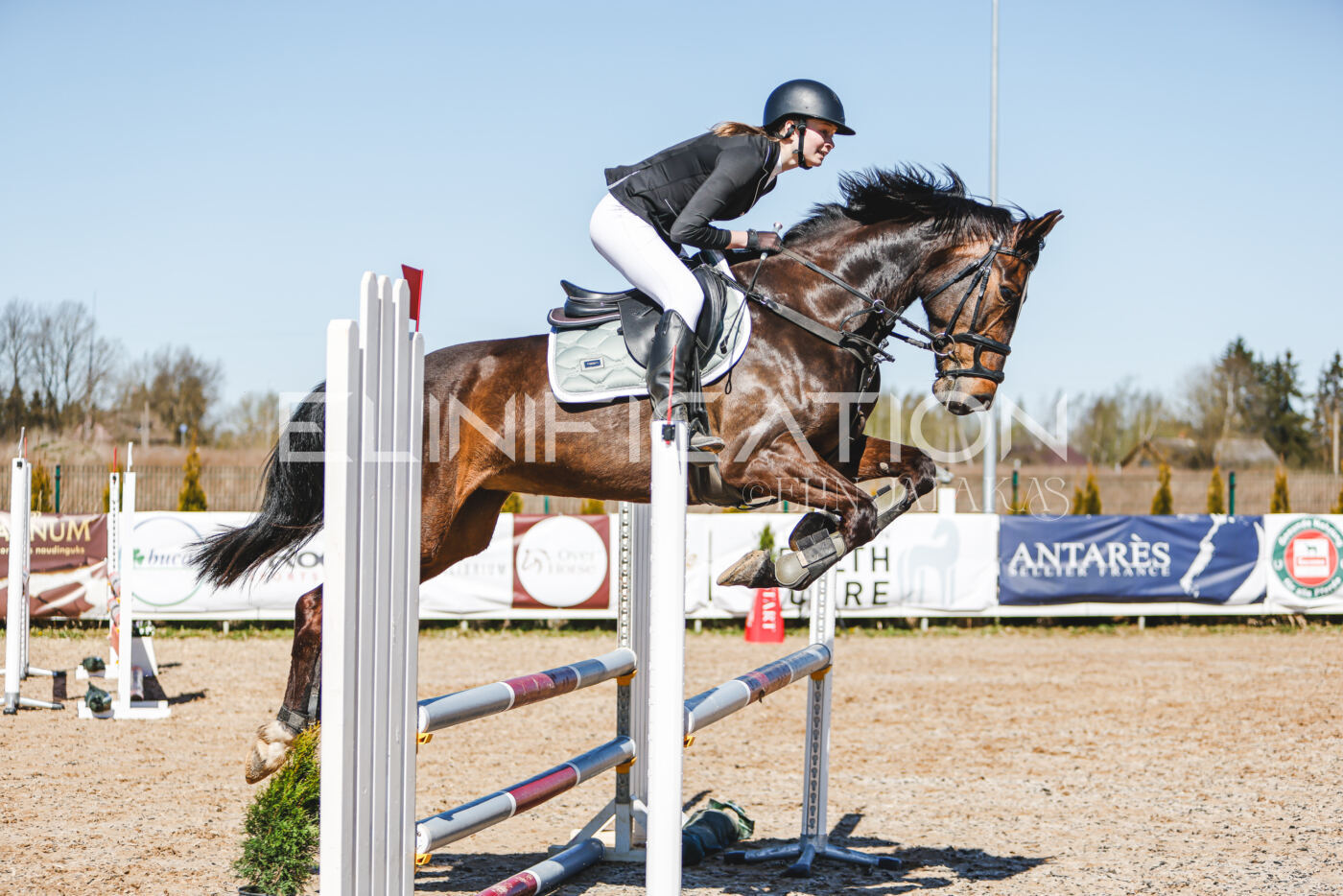 Gramina_Volber_2026_90_0225