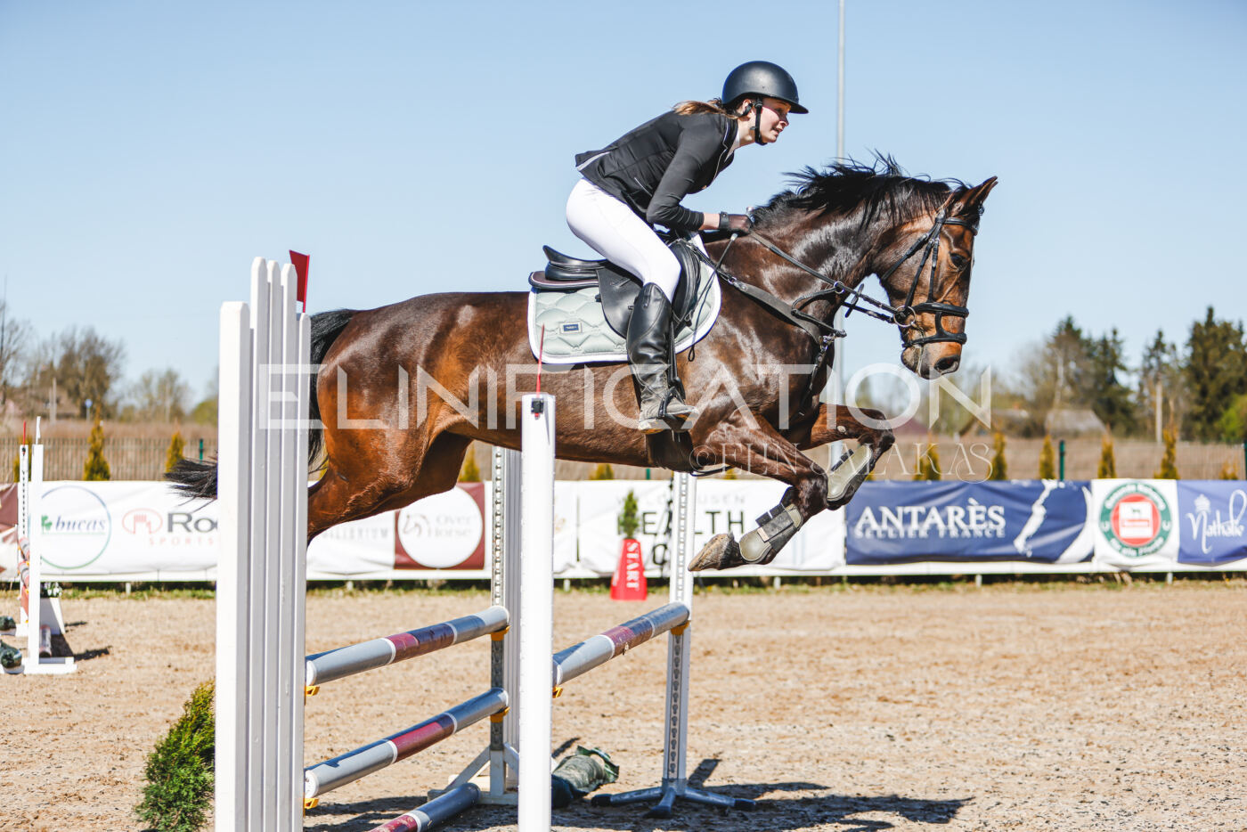 Gramina_Volber_2026_90_0226