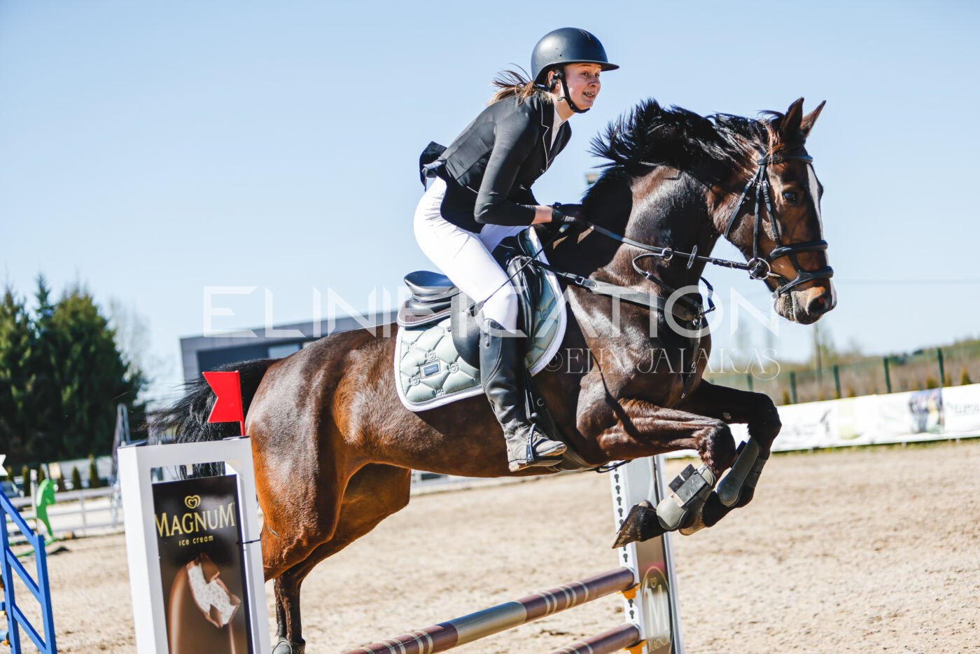 Gramina_Volber_2026_90_0240