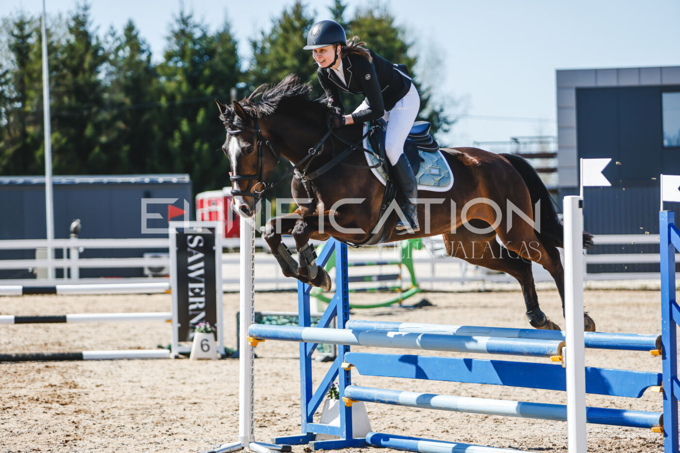Gramina_Volber_2026_90_0243