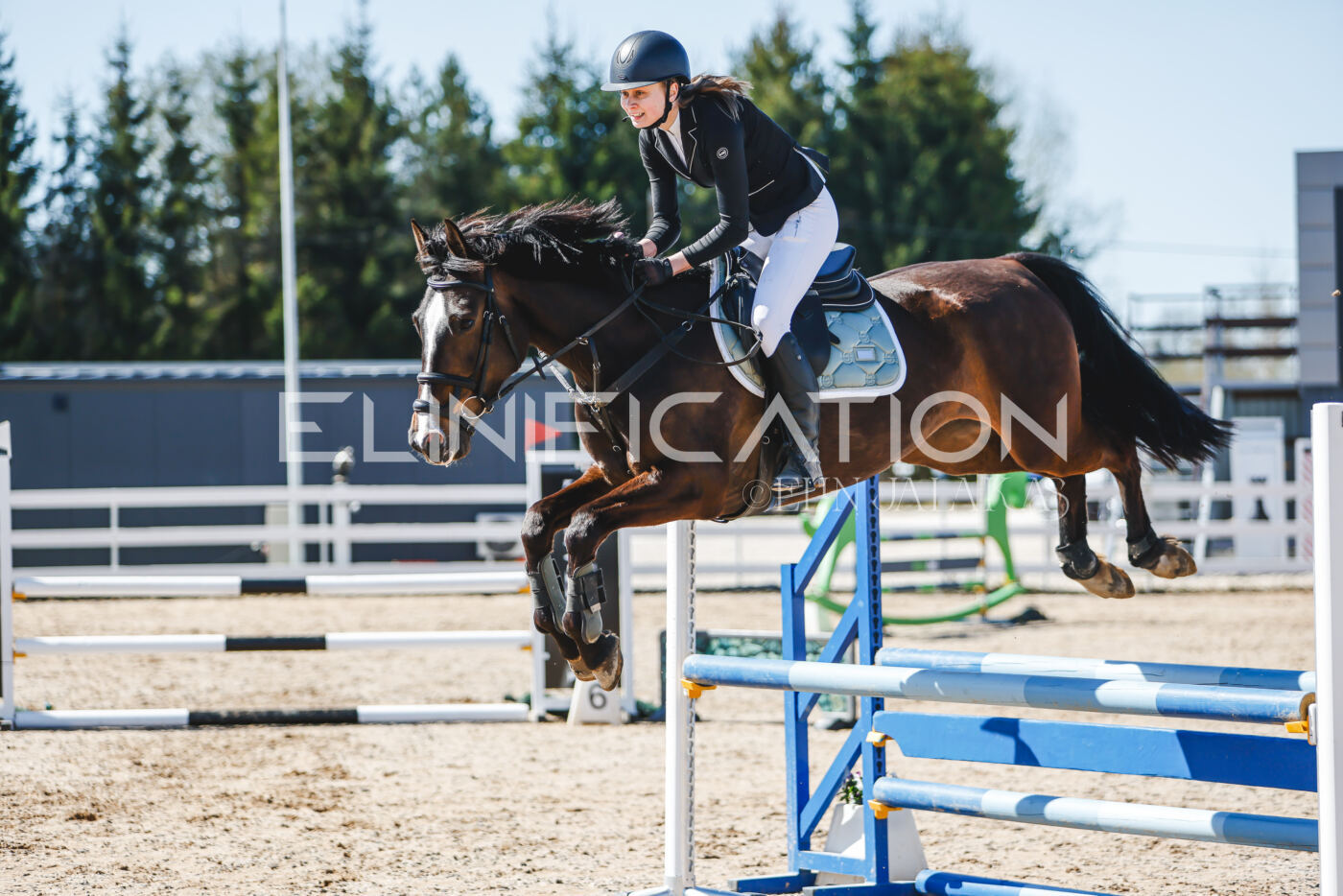 Gramina_Volber_2026_90_0245