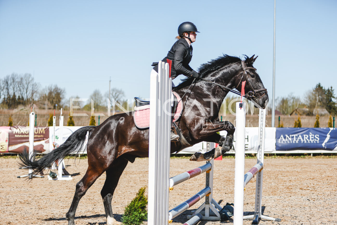 Gramina_Volber_2026_90_0257