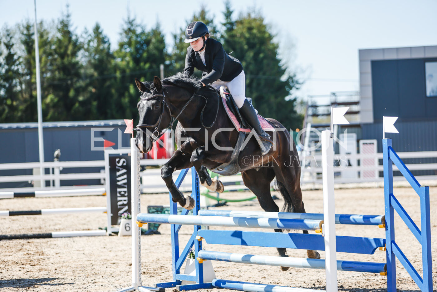 Gramina_Volber_2026_90_0268
