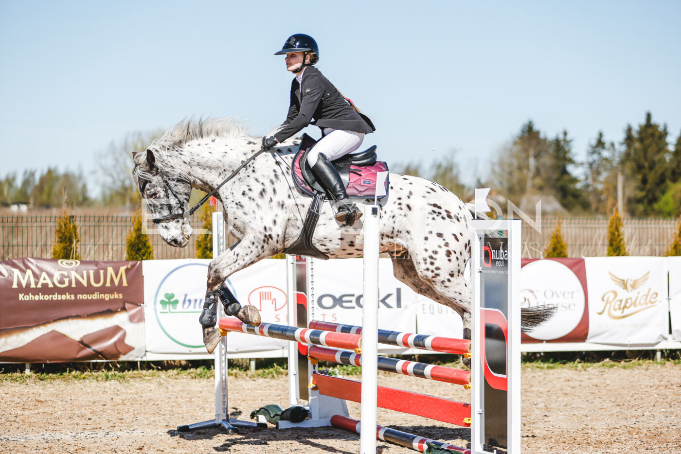 Gramina_Volber_2026_90_0274