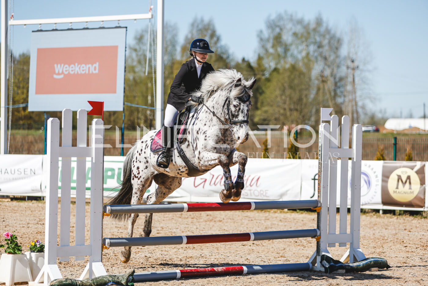 Gramina_Volber_2026_90_0275
