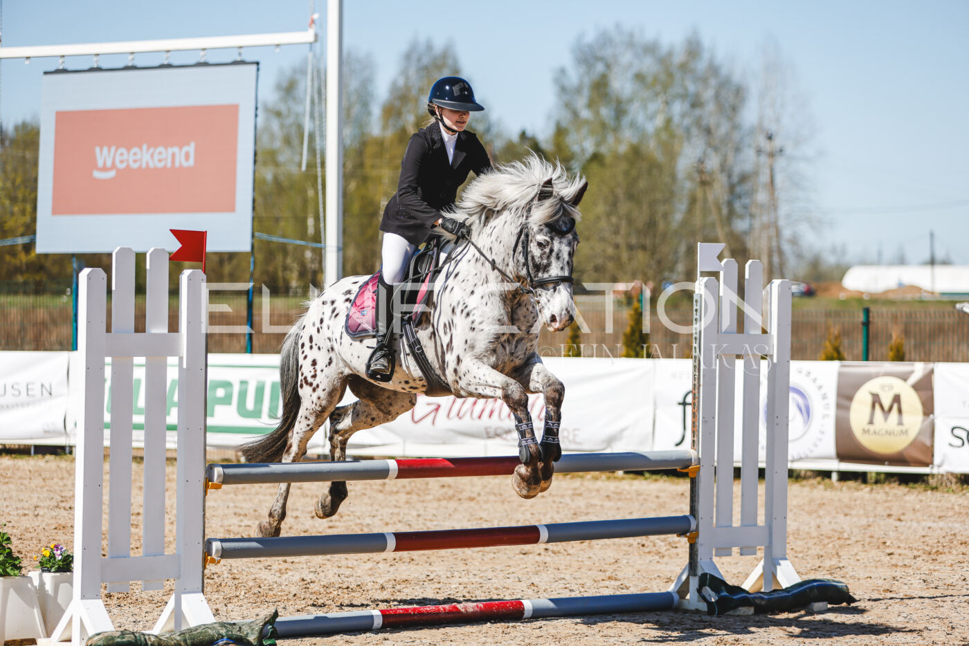 Gramina_Volber_2026_90_0276
